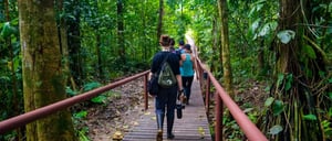 La Selva Lodge: Trail