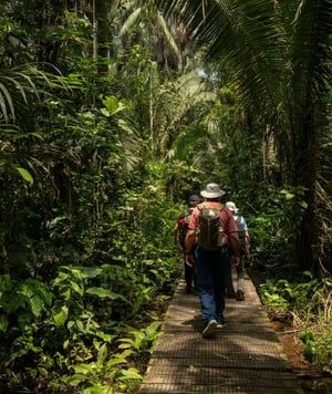 Sacha Lodge: Guided Wildlife Tours