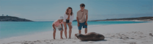 Ecuador Land Tour - your galapagos expedition begins here: two tourists walking at the beach´s shore