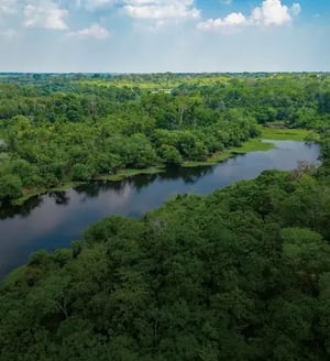 Ecuador Land tours: GO4 Package Ecuador's Amazon Expedition - Immersive Rainforest Lodge Experience: A landscape of the ecuadorian amazon