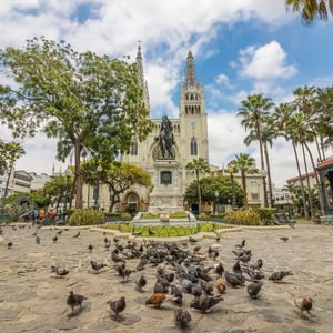 Guayaquil - History & Culture Uncovered: Essentials