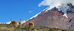 Pathway through the Andes & Baños: Chimborazo