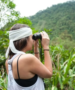 Mindo & Alambi: Birdwatching