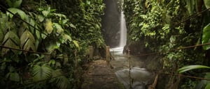 Mindo orchids & birdwatching within cloud forest - Alambi