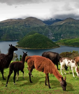 Otavalo Treasures: Cuicocha Lake