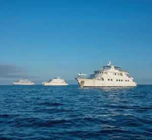 Why Galapagos? Galapagos Cruises 2025
