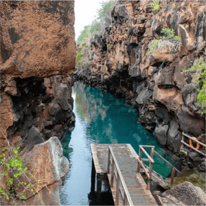 Go 7: Galapagos Cruise and island hopping at the Galapagos Island