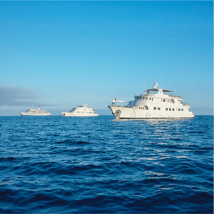 GO 7: Galapagos fleet and hopping - Galapagos Fleet