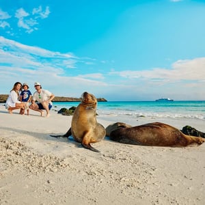 A sea lion with a family in the Galapagos Islands, one of the wonders you will find in our best sellers