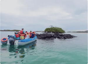 Why Galapagos? Galapagos Activities: Dinghy Ride