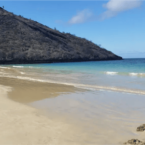 South Expedition (D) Galapagos Legend: Punta Cormorant