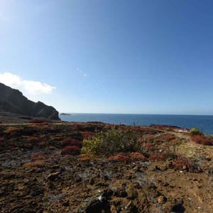 East Expeditions Galapagos Legend: Punta Pitt